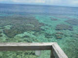Snorkel on House Reef